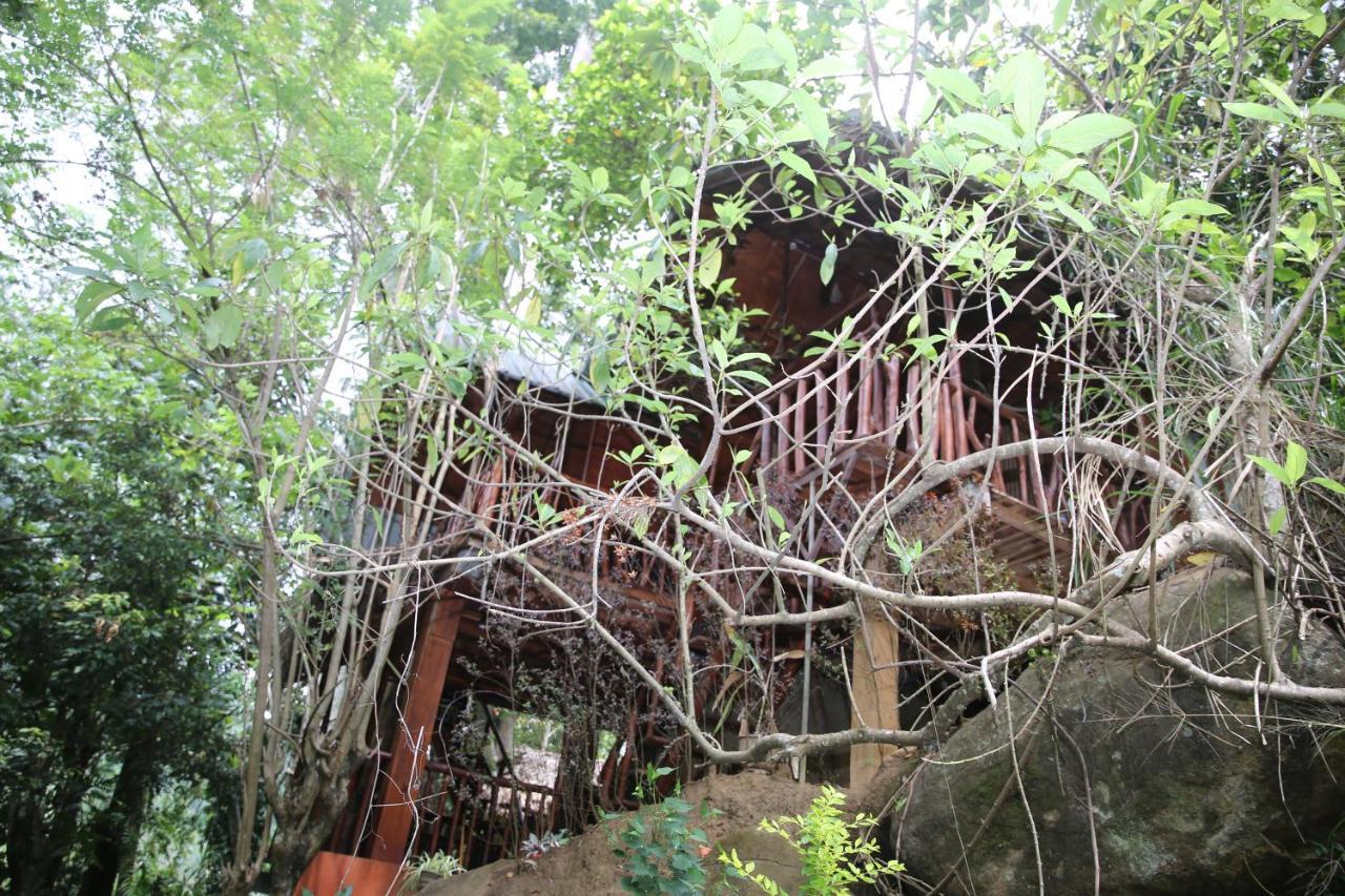 Jungle Face Inn Ella Exterior photo