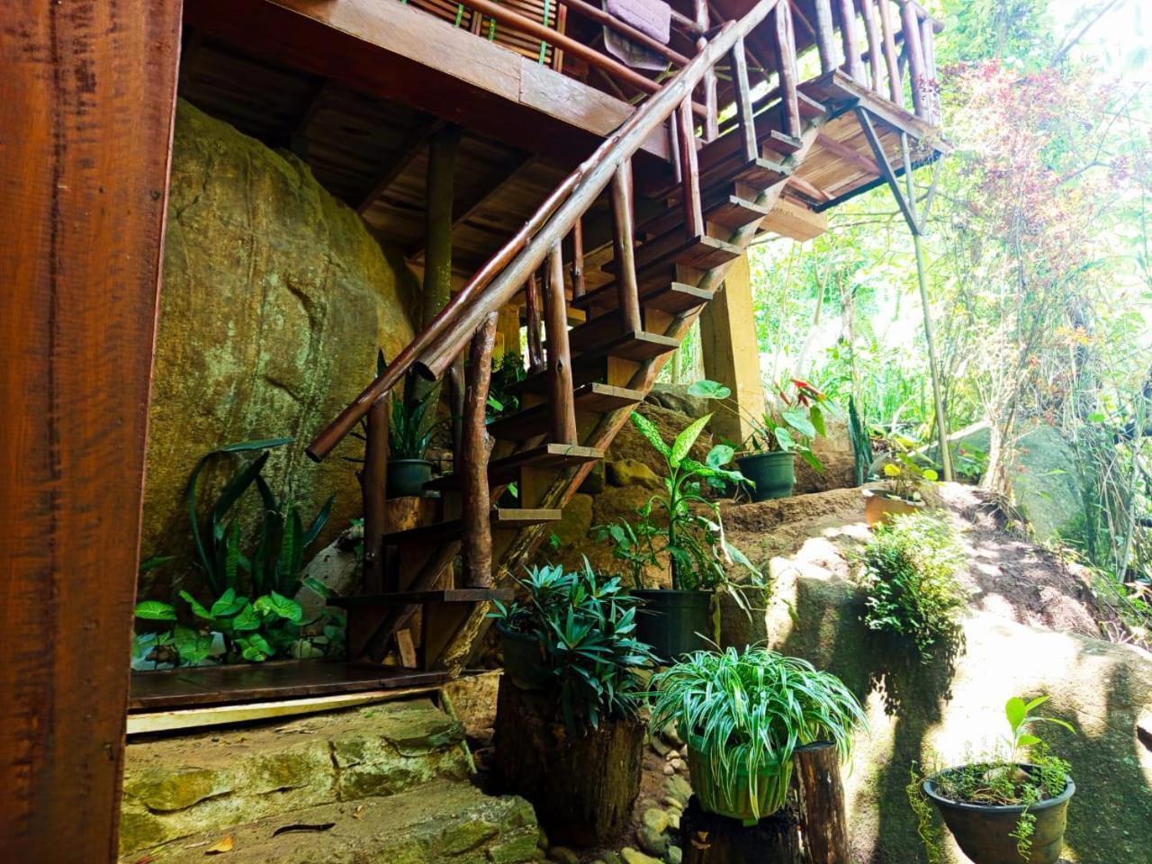 Jungle Face Inn Ella Exterior photo