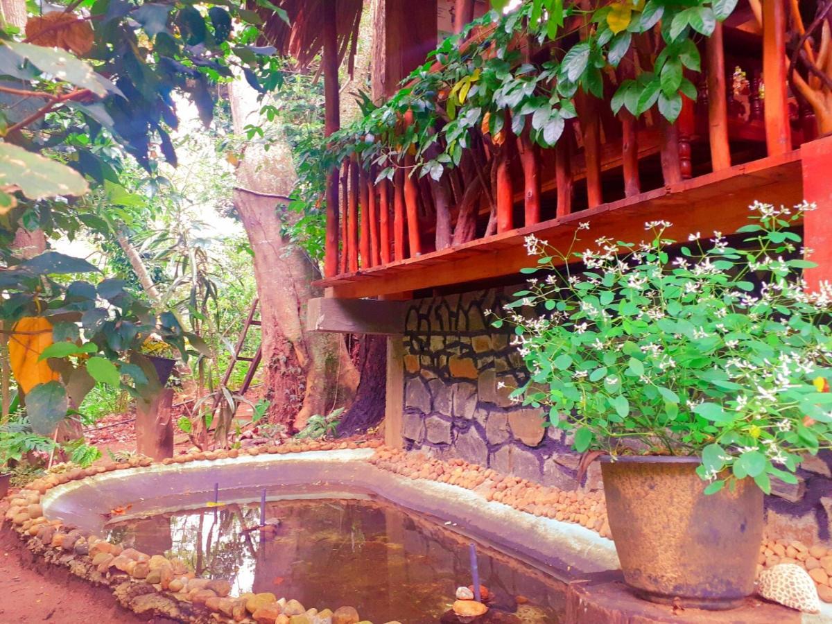 Jungle Face Inn Ella Exterior photo