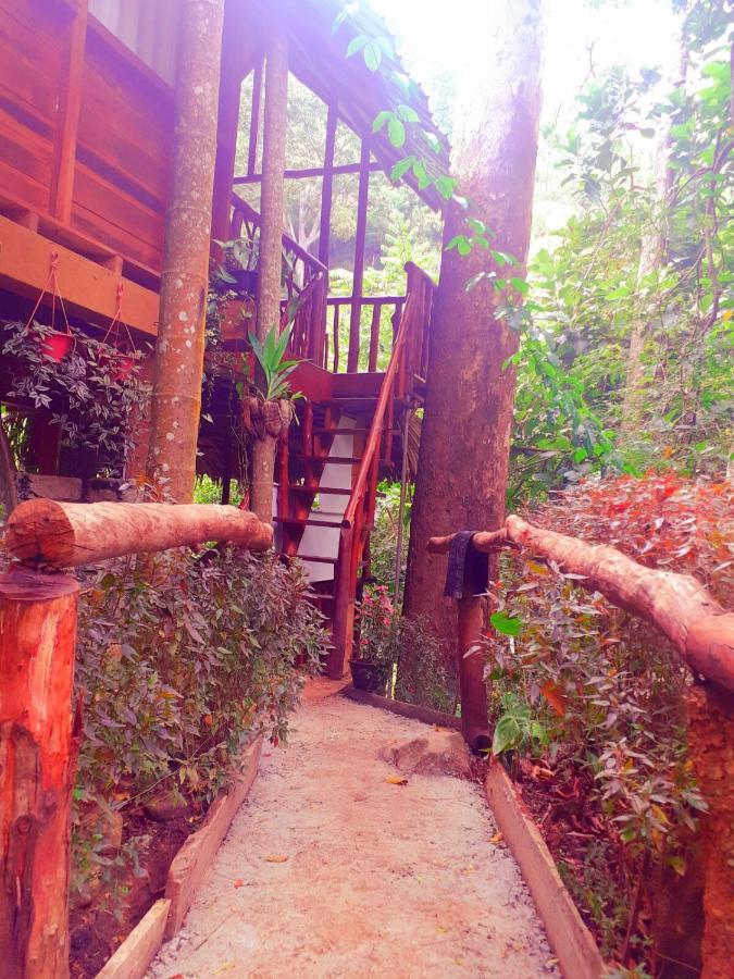 Jungle Face Inn Ella Exterior photo